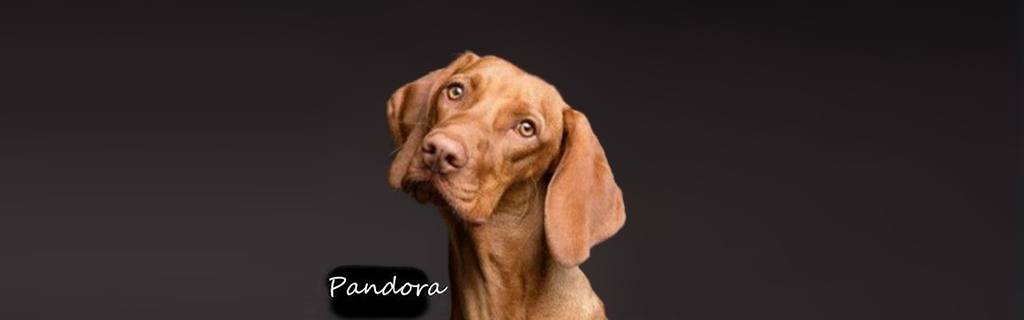 Pandora Video
